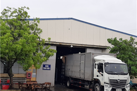 Ứng dụng công nghệ tiên tiến nhất trong công nghiệp sản xuất bột giấy và giấy đối với các dự án đầu tư mới