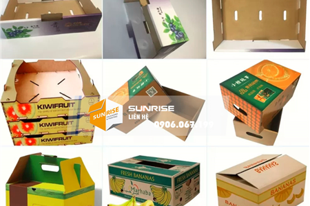 Sản xuất thùng carton, hộp carton đựng nông sản uy tín, chất lượng nhất hiện nay