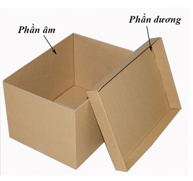thùng-carton-âm-dương